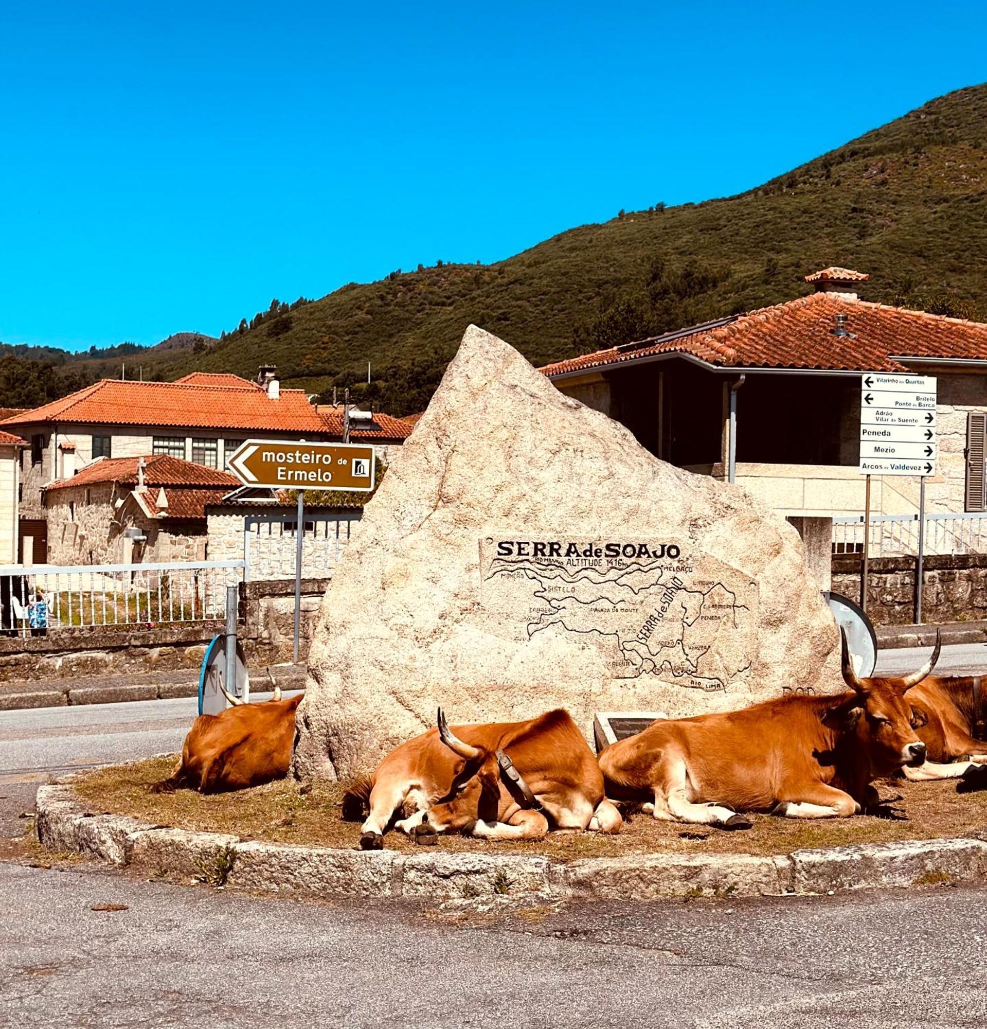 Casa Da Touca Villa Arcos de Valdevez Eksteriør billede